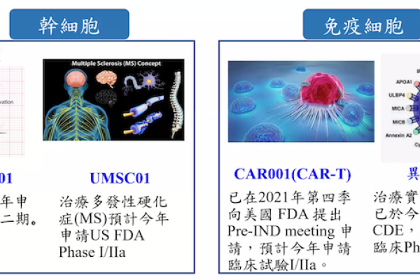 長聖多項異體細胞新藥研發申請進入臨床試驗 長聖免疫細胞新藥 GDT、CAR-T 皆申請試驗 2022 May