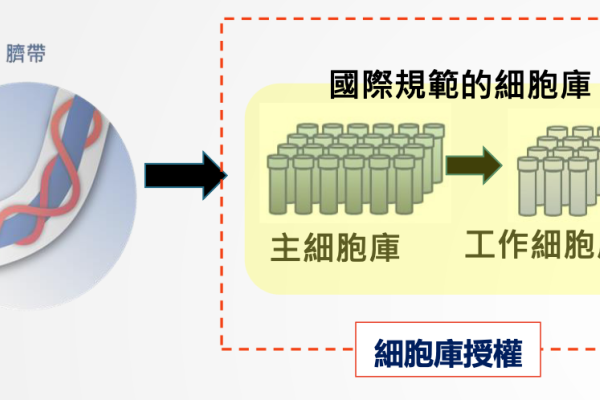 健康且受檢驗的孕婦臍帶，是和迅建立細胞庫來源（來源：和迅法說會簡報） 和迅營收增幅大，成本變動小，獲利增 2024 Jul(增)