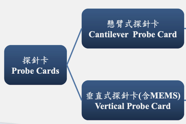 新特系統歸納的探針卡類型： CPC 與 VPC 探針卡（來源：新特系統法說會簡報 13 頁） 新特等 VPC 新品效益，CPC 車用/消費應用拓新局 May 2025(全)