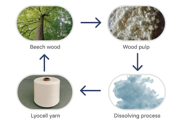 從木材、原生木漿，經過溶劑溶解製程，做成萊賽爾（Lyocell）纖維 聚泰產能滿載、3Q26 擴產，擬直供歐美服飾品牌 Oct 2025(全)