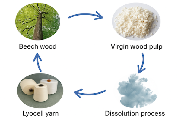 從木材、原生木漿，經過溶劑溶解製程，做成萊賽爾（Lyocell）纖維的製程流程 聚泰先開拓歐洲、亞洲快時尚，伺機開發北美 Oct 2025(增)
